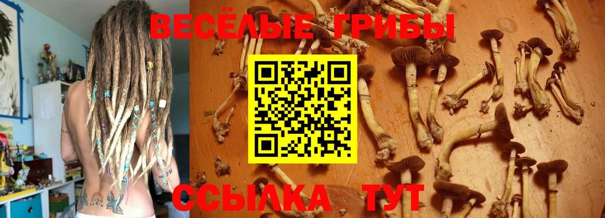 Галлюциногенные грибы мицелий  Псилоцибиновые грибы ЛСД  Вход с VPN  Ноябрьск 